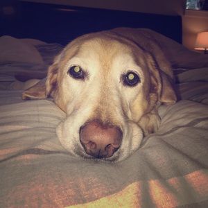 Meet your Posher, Bri